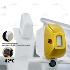 Permanent 808nm Diode Laser Hair Removal Machine Painless 2 Handles Cooling System